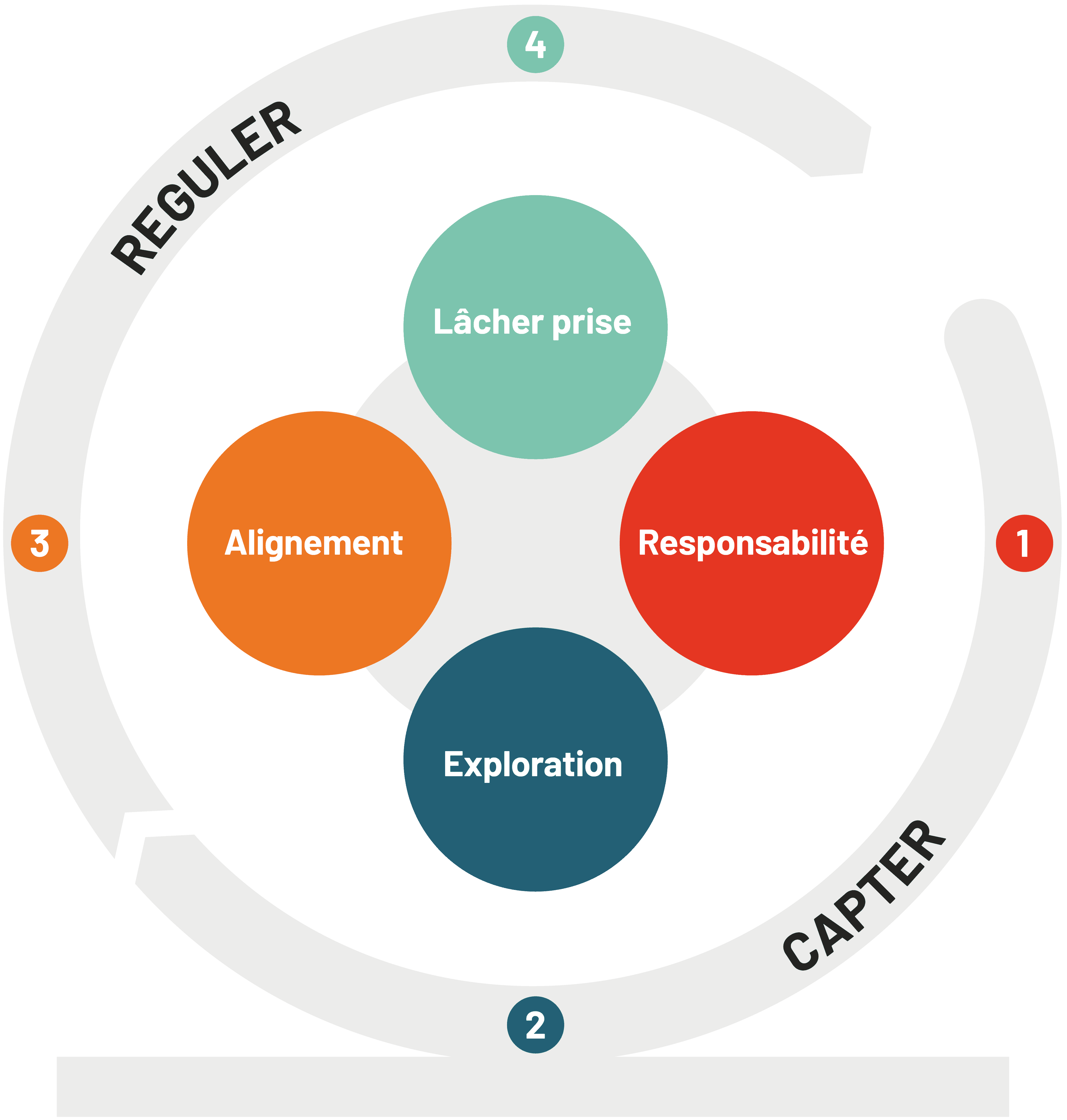 Capture and regulate diagram
