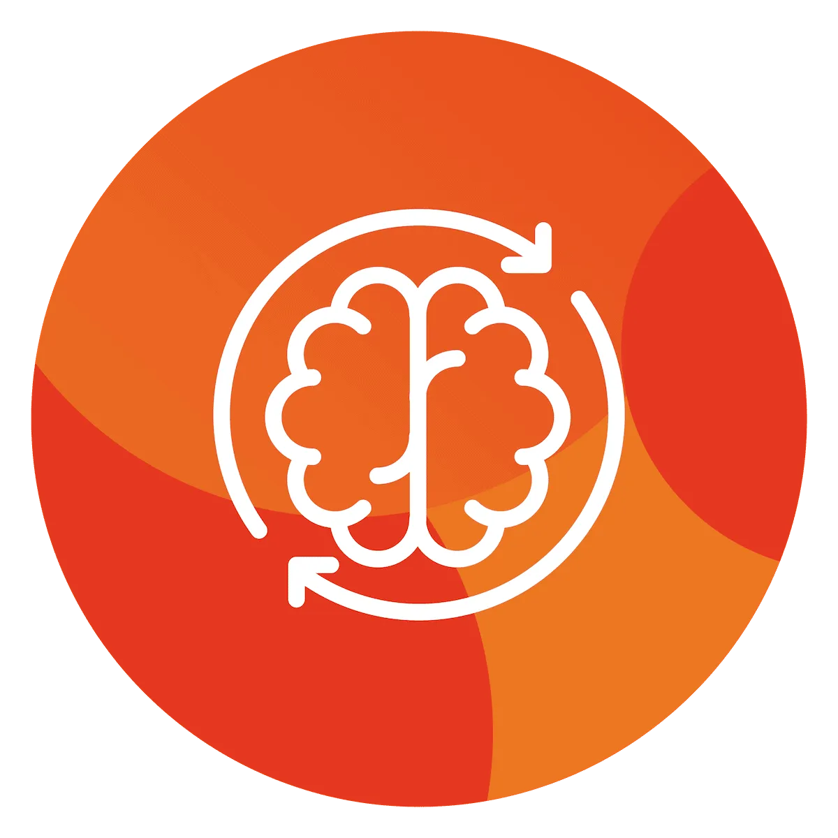 The R.E.A.L. brain